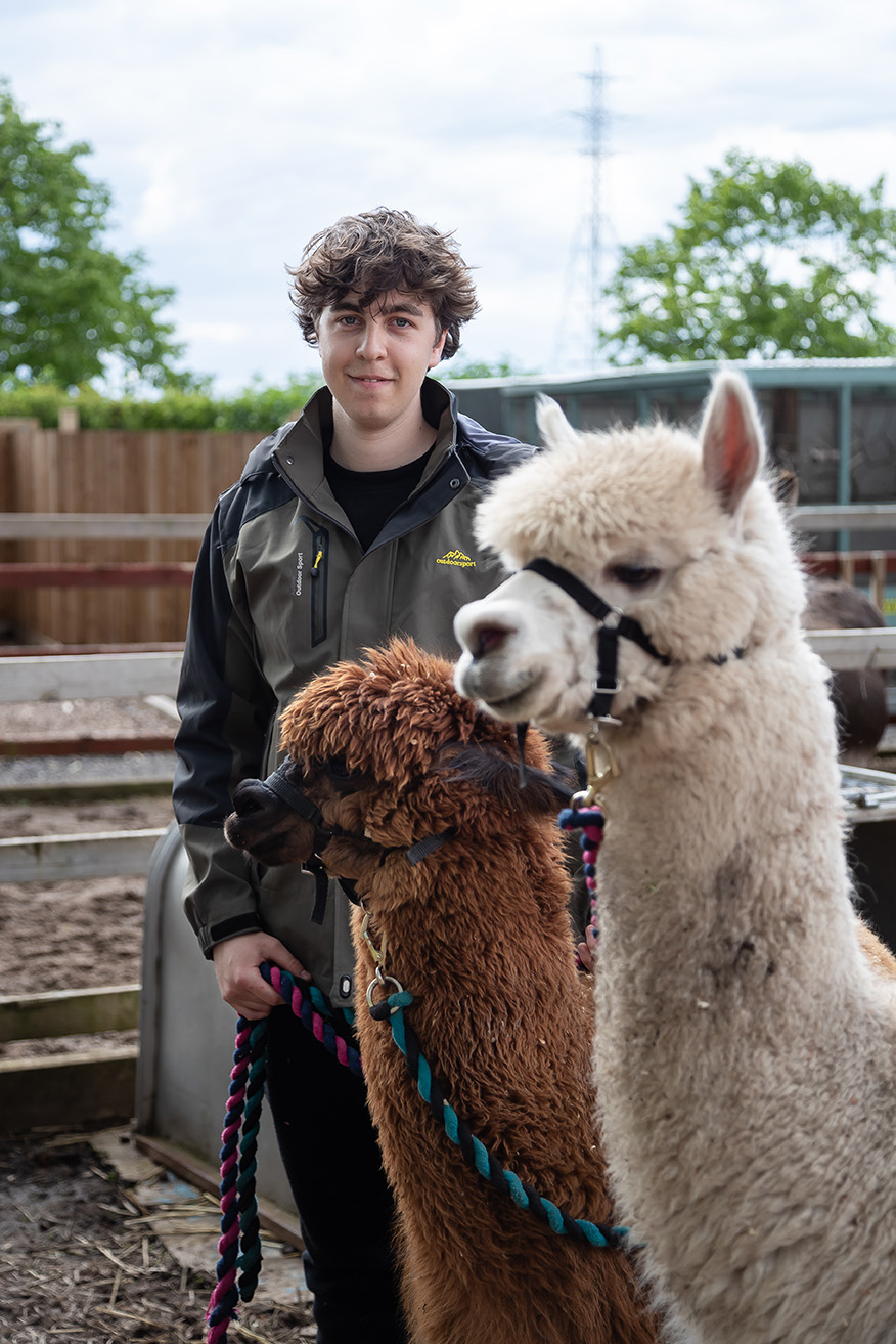 BSc Hons Bioveterinary Science Student at work placement with llamas