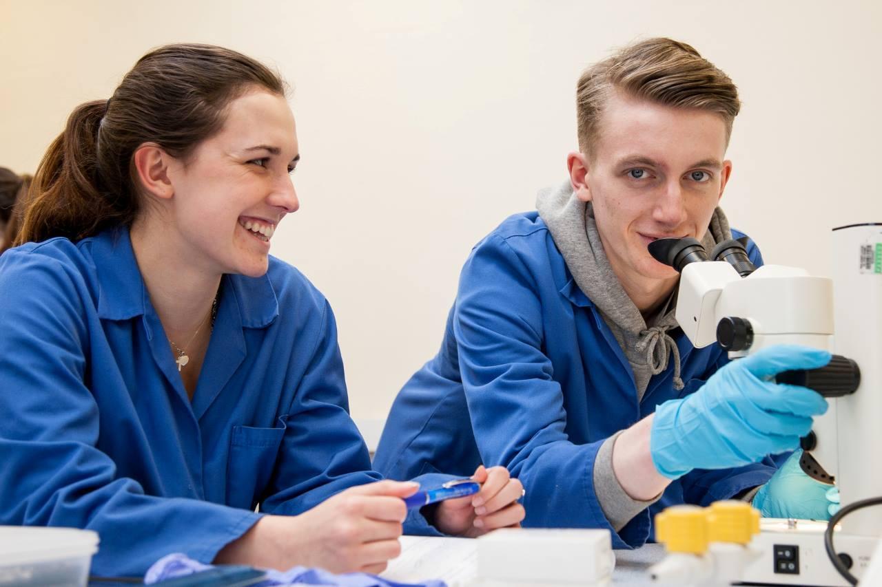 Students use a microscope during a biology laboratory session, developing practical scientific skills and subject knowledge for teaching science on the Secondary Biology PGCE with QTS at the University of Chester.