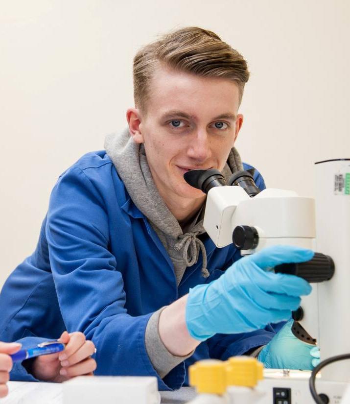 Students use a microscope during a biology laboratory session, developing practical scientific skills and subject knowledge for teaching science on the Secondary Biology PGCE with QTS at the University of Chester.