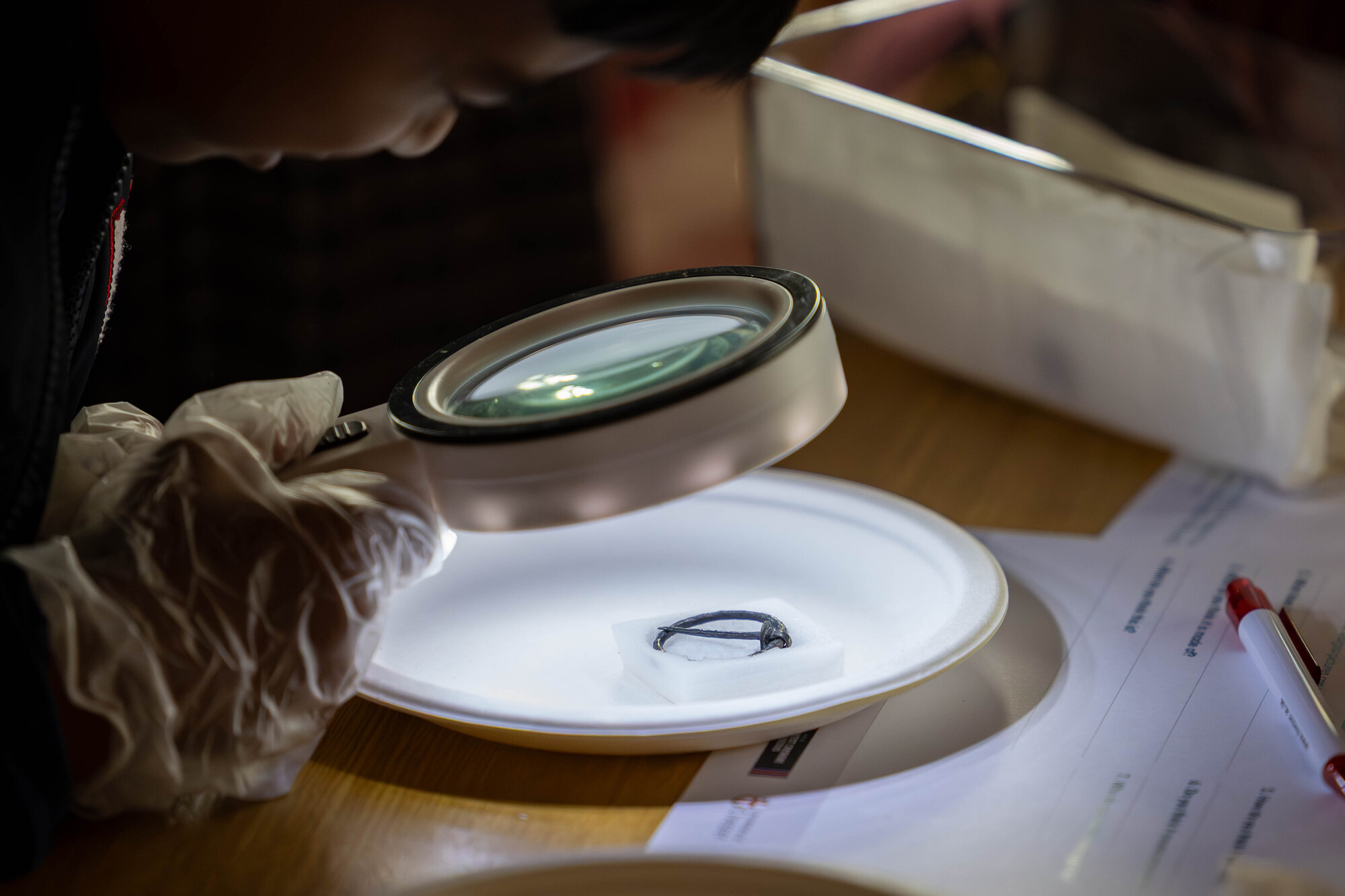 the The Medieval Treasures: Hold and Create History event.