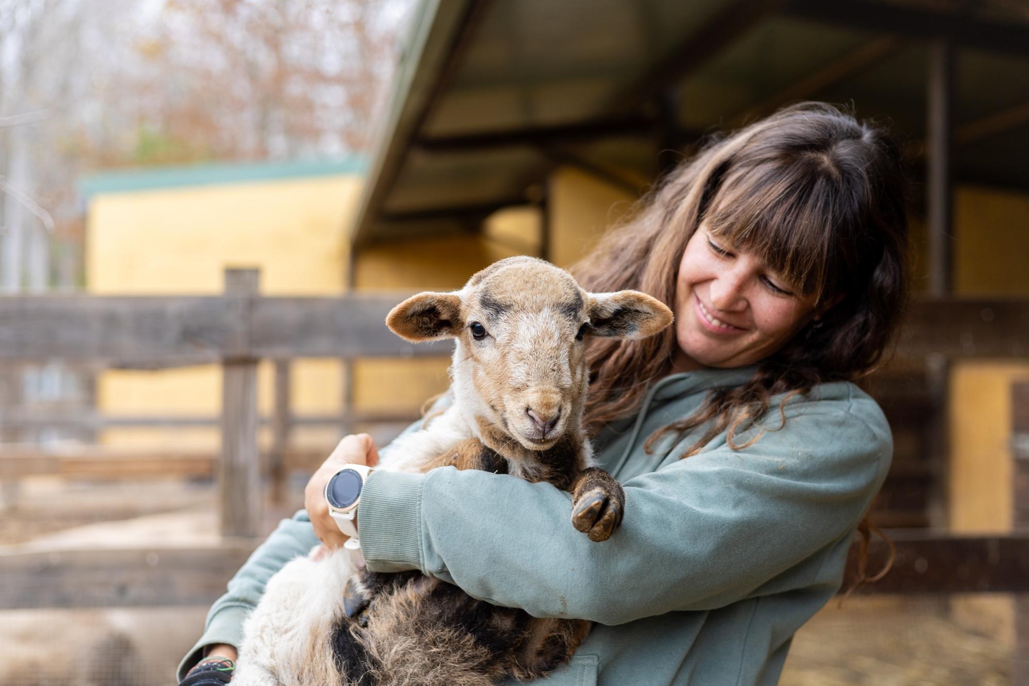 Student on the Animal Welfare Science BSc (Hons) course smiling while holding and caring for a young lamb, gaining hands-on experience in animal health, behaviour, and welfare.