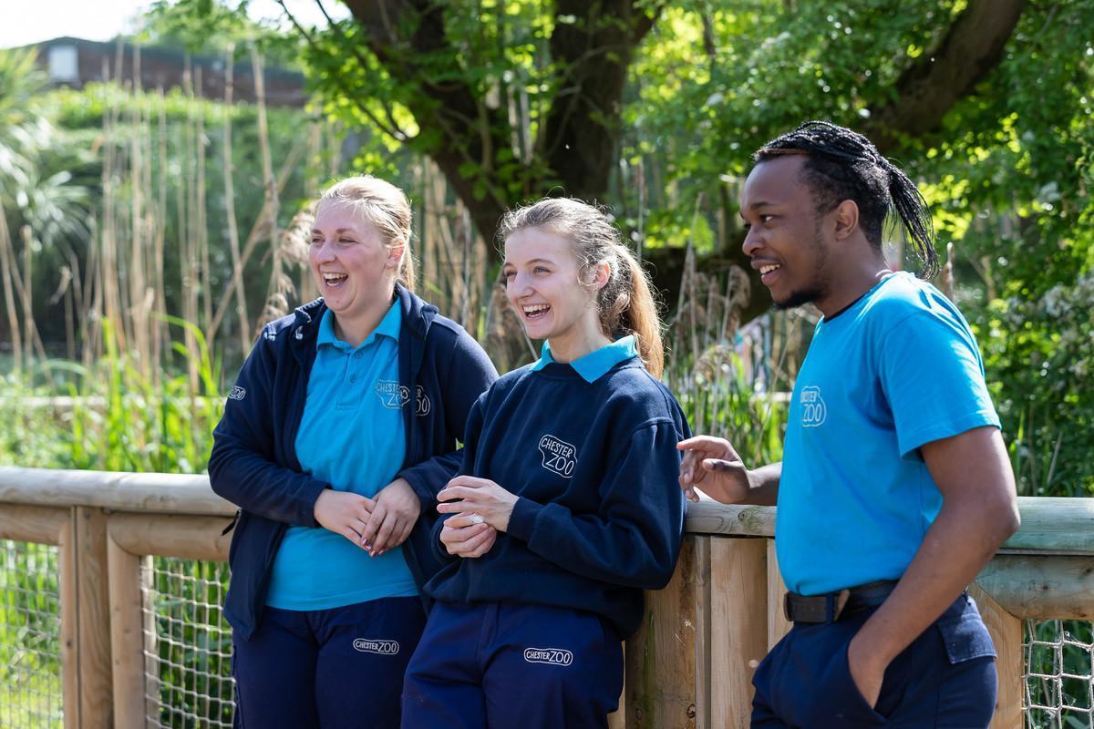 Students on a BSc (Hons) Animal Behaviour course gaining hands-on experience at Chester Zoo, smiling and working together outdoors as part of their training in animal care and welfare.