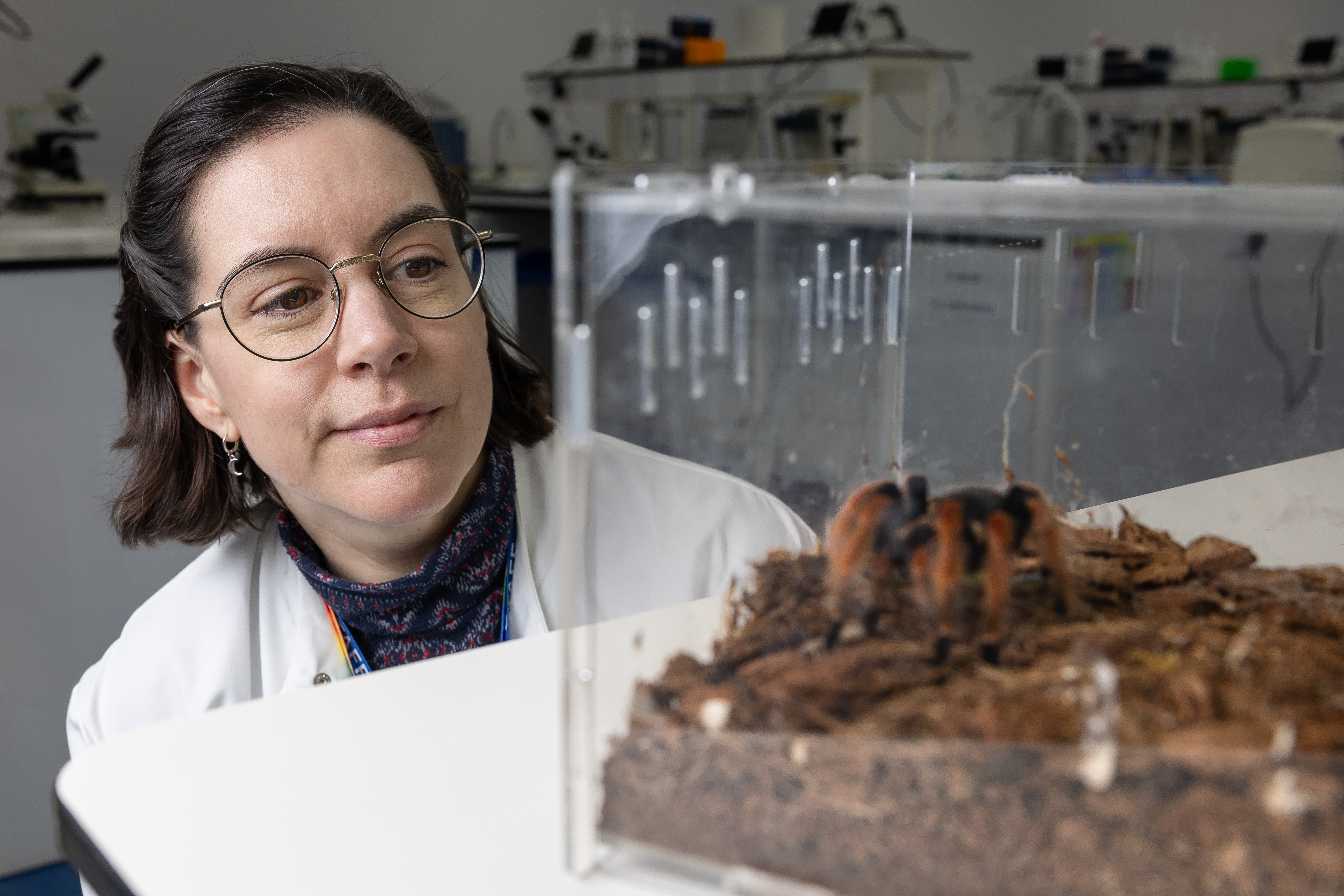 Lab assistant observing Tarantula